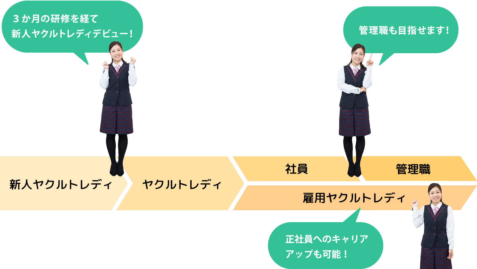 3ヶ月の研修を経て新人ヤクルトデビュー！　正社員へのキャリアアップも可能！　女性管理職も目指せます！　新人ヤクルトレディ→ヤクルトレディ→正社員→管理職