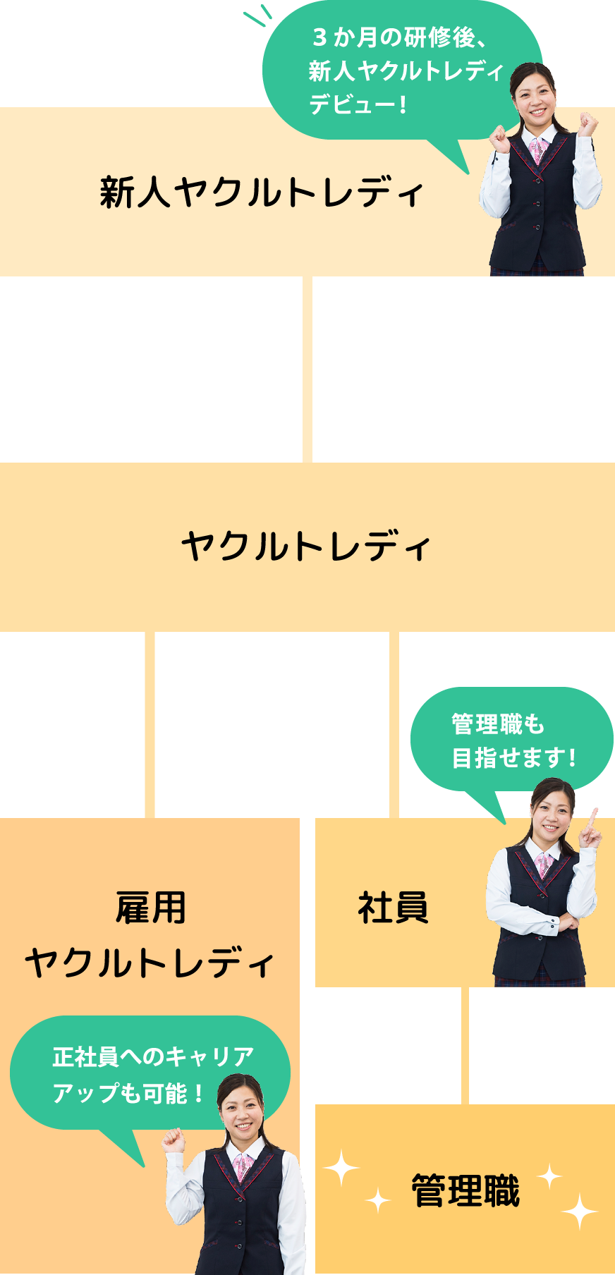 3ヶ月の研修を経て新人ヤクルトデビュー！　正社員へのキャリアアップも可能！　女性管理職も目指せます！　新人ヤクルトレディ→ヤクルトレディ→正社員→管理職